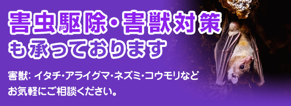 害虫駆除・害獣対策も承っております｜害獣：イタチ・アライグマ・ネズミ・コウモリなど。お気軽にご相談ください。